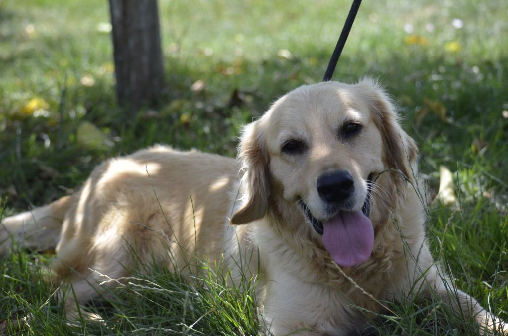 Tina du Moulin de la Terrasse